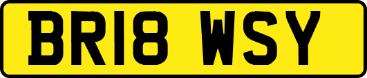 BR18WSY