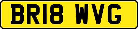 BR18WVG