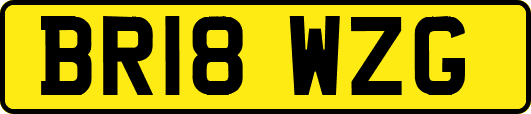BR18WZG