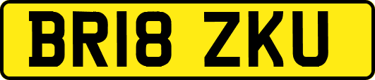 BR18ZKU