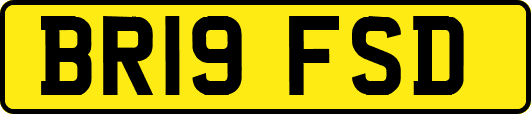 BR19FSD