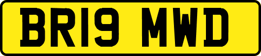 BR19MWD