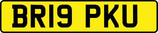 BR19PKU