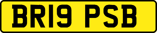 BR19PSB