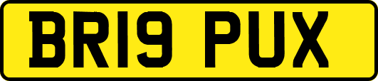 BR19PUX