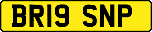 BR19SNP