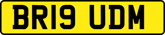 BR19UDM