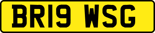 BR19WSG
