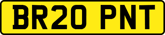BR20PNT