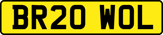 BR20WOL