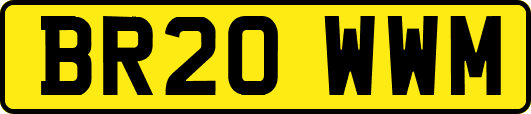 BR20WWM