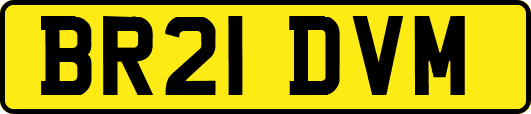 BR21DVM