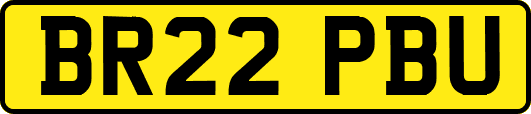 BR22PBU