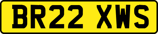 BR22XWS