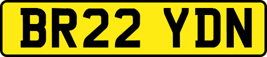 BR22YDN