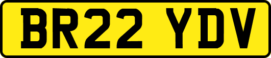 BR22YDV