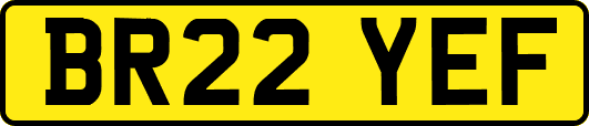 BR22YEF