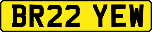 BR22YEW