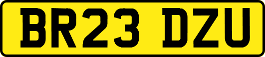 BR23DZU