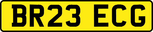 BR23ECG