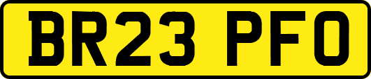 BR23PFO