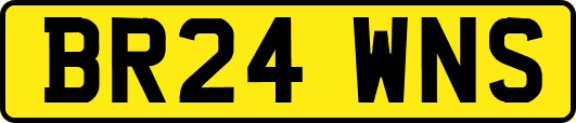 BR24WNS