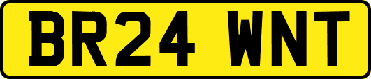 BR24WNT