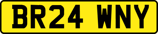 BR24WNY