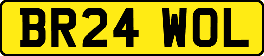 BR24WOL