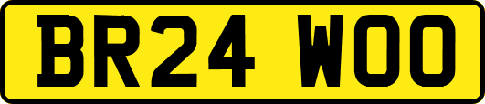 BR24WOO