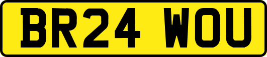 BR24WOU