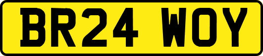 BR24WOY