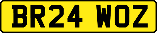 BR24WOZ