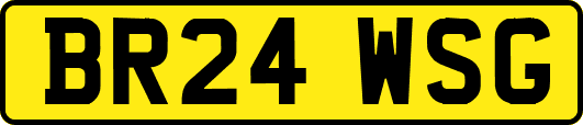BR24WSG