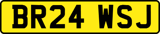 BR24WSJ
