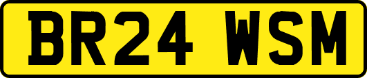 BR24WSM