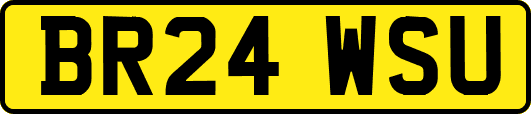 BR24WSU