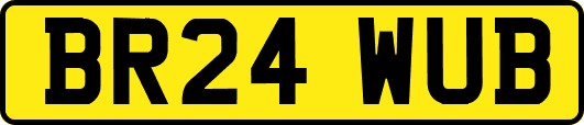 BR24WUB