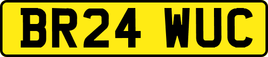 BR24WUC