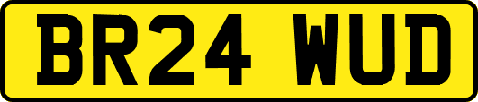 BR24WUD