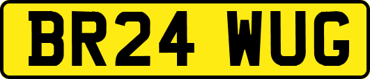 BR24WUG