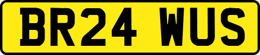 BR24WUS