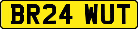 BR24WUT