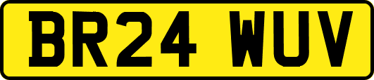 BR24WUV
