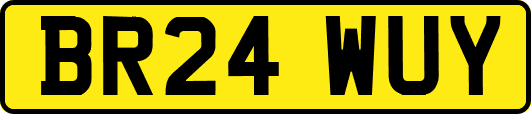 BR24WUY