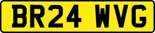 BR24WVG