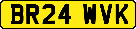 BR24WVK