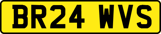 BR24WVS