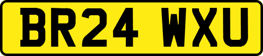 BR24WXU