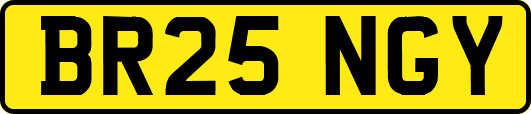 BR25NGY